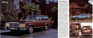 1980 Ford LTD (Rev)-08-09.jpg